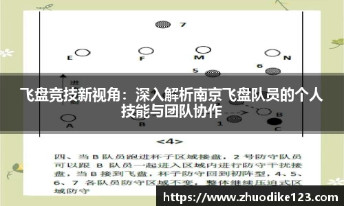 飞盘竞技新视角：深入解析南京飞盘队员的个人技能与团队协作