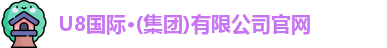 U8国际
